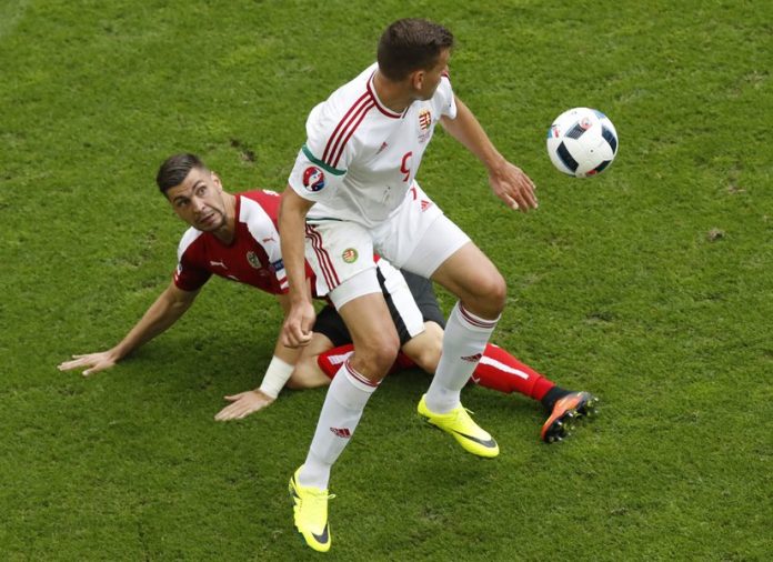 stieber