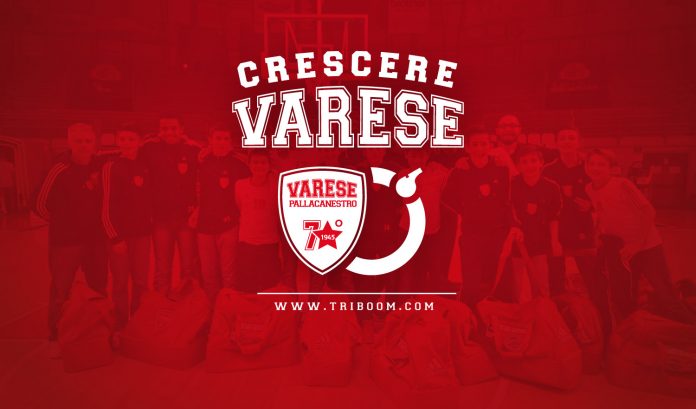 Basket Varese Champions League. Basket Varese Champions League.