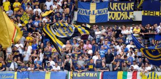 Probabili formazioni Serie B: Verona a Terni Probabili formazioni serie B settima giornata