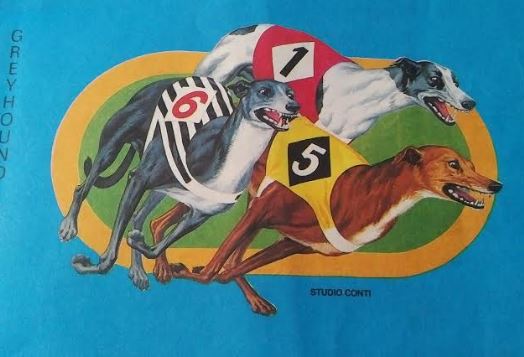 Cinodromo di Roma