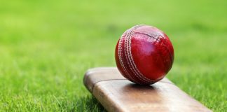 The Importance of Being Cricket Da Polo a Cricket