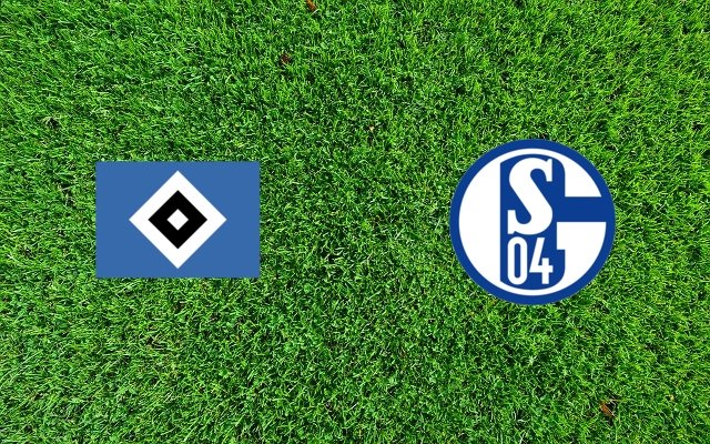 Amburgo-Schalke 04 Formazioni Amburgo-Schalke 04