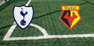 Formazioni Tottenham-Watford