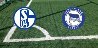 Formazioni Schalke 04-Hertha BSC