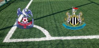 Formazioni Crystal Palace-Newcastle