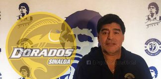 Maradona, ciao Bielorussia: è il nuovo allenatore del Dorados de Sinaloa Maradona allenatore Messico
