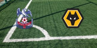 Formazioni Crystal Palace-Wolverhampton