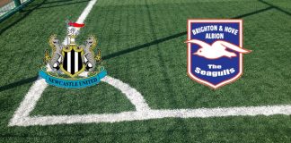 Newcastle-Brighton: formazioni ufficiali, quote, pronostici Formazioni Newcastle-Brighton