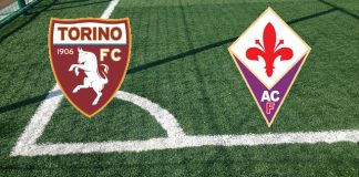 Torino-Fiorentina: formazioni ufficiali, quote, pronostici Formazioni Torino-Fiorentina