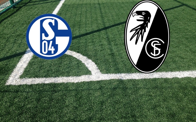 Schalke 04-Friburgo Formazioni Schalke 04-Friburgo