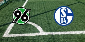 Formazioni Hannover 96-Schalke 04