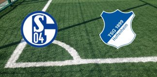 Formazioni Schalke 04-Hoffenheim
