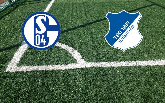 Schalke 04-Hoffenheim Formazioni Schalke 04-Hoffenheim
