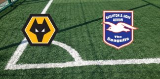 Wolverhampton-Brighton: formazioni ufficiali, quote, pronostici. Matt Doherty marcatore il tentativo di quota! Formazioni Wolverhampton-Brighton