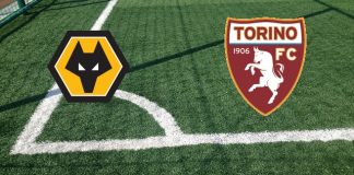 Wolverhampton-Torino (20:45): formazioni ufficiali, quote, pronostici, Lukic e Rincon a centrocampo Formazioni Wolverhampton-Torino