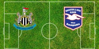 Newcastle-Brighton: formazioni ufficiali, quote, pronostici Formazioni Newcastle-Brighton