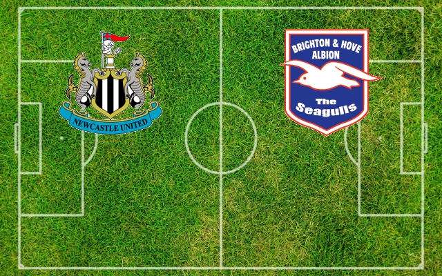 Newcastle-Brighton Formazioni Newcastle-Brighton