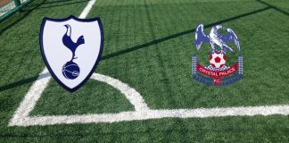 Tottenham-Crystal Palace: formazioni ufficiali, quote, pronostici Formazioni Tottenham-Crystal Palace