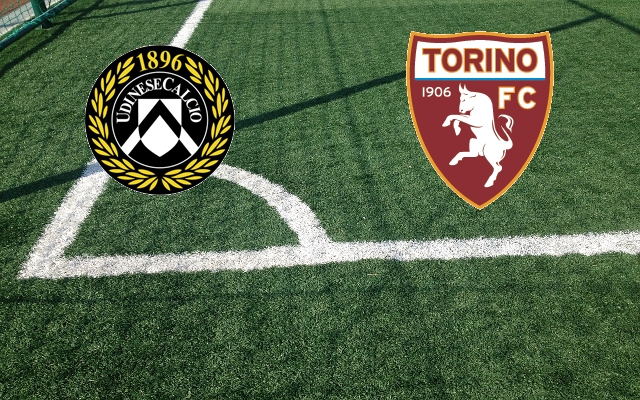 Formazioni Udinese-Torino