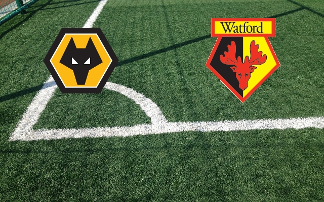 Wolverhampton-Watford Formazioni Wolverhampton-Watford