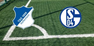 Hoffenheim-Schalke 04: formazioni ufficiali, quote, pronostici Formazioni Hoffenheim-Schalke 04