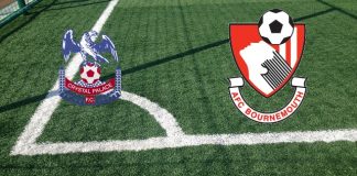 Crystal Palace-Bournemouth: formazioni ufficiali, quote, pronostici Formazioni Crystal Palace-Bournemouth