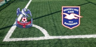Crystal Palace-Brighton: formazioni ufficiali, quote, pronostici Formazioni Crystal Palace-Brighton