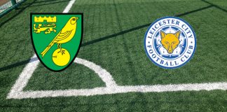 Norwich-Leicester (venerdì, ore 21:00): formazioni ufficiali, quote, pronostici. Assente Jamie Vardy Formazioni Norwich-Leicester