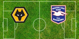 Wolverhampton-Brighton: formazioni ufficiali, quote, pronostici Formazioni Wolverhampton-Brighton