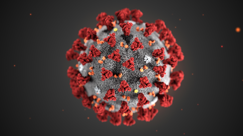 Cheltenham a rischio coronavirus