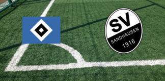 Amburgo-SV Sandhausen (domenica, ore 15:30): formazioni ufficiali, quote, pronostici Formazioni Amburgo-SV Sandhausen