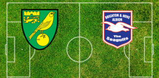 Norwich-Brighton (sabato, ore 13:30): formazioni ufficiali, quote, pronostici Formazioni Norwich-Brighton