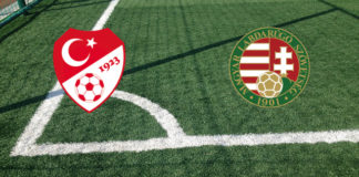Turchia-Ungheria (giovedì,ore 20:45): formazioni ufficiali, quote, pronostici Formazioni Turchia-Ungheria