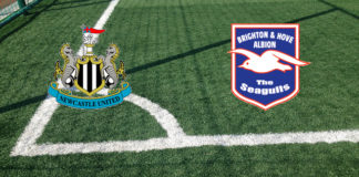 Newcastle-Brighton (domenica, ore 15:00): formazioni ufficiali, quote, pronostici Formazioni Newcastle-Brighton