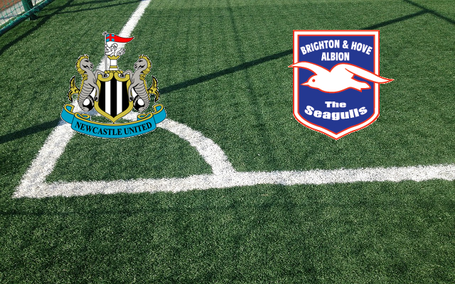 Newcastle-Brighton Formazioni Newcastle-Brighton