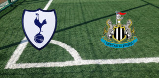Tottenham-Newcastle (domenica, ore 15.00): formazioni ufficiali, quote, pronostici Formazioni Tottenham-Newcastle