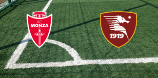 Formazioni Monza-Salernitana