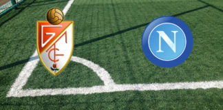 Granada-Napoli (Europa League, 18 febbraio ore 21:00): formazioni ufficiali, quote, pronostici Formazioni Granada CF-Napoli