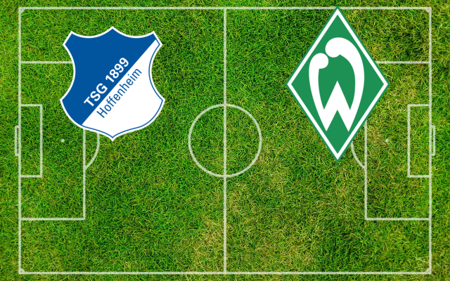 Hoffenheim-Werder Formazioni Hoffenheim-Werder