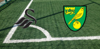 Swansea-Norwich (venerdì, ore 21:15): formazioni ufficiali, quote, pronostici Formazioni Swansea-Norwich