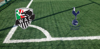 Wolfsberger-Tottenham (Europa League, 18 febbraio ore 18:55): formazioni ufficiali, quote, pronostici, Mourinho va con Bale, Alli e Lucas Moura Formazioni Wolfsberger-Tottenham
