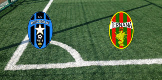 Formazioni Bisceglie-Ternana