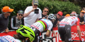 Freccia Vallone 2025 pronostici