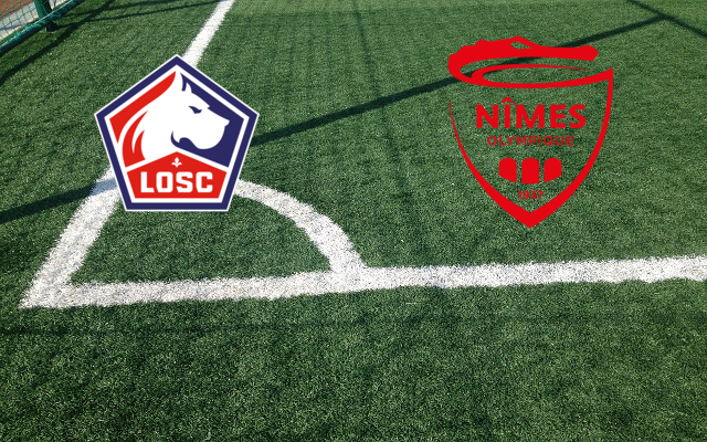Lille-Nimes Formazioni Lille-Nimes
