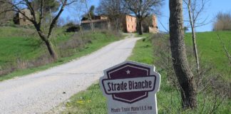 Strade Bianche 2021 quote
