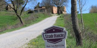 Strade Bianche 2025, è sempre Pogacar il grande favorito per la vittoria Strade Bianche 2025 pronostici