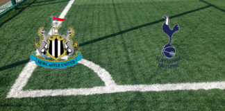 Newcastle-Tottenham (domenica, ore 15:05): formazioni ufficiali, quote, pronostici Formazioni Newcastle-Tottenham