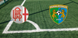 Formazioni Alessandria-Feralpisalo`