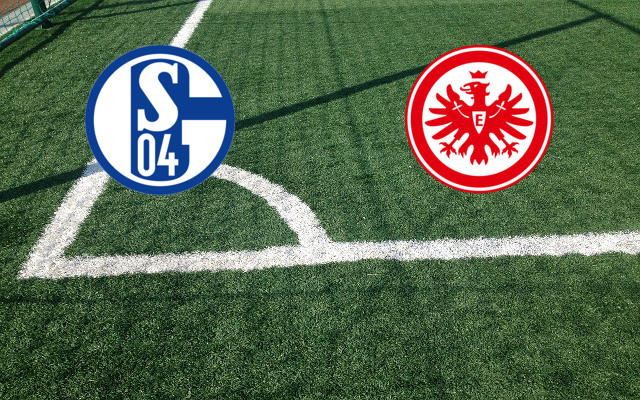 Schalke 04-Eintracht Francoforte Formazioni Schalke 04-Eintracht Francoforte