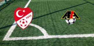 Turchia-Azerbaijan (amichevole, mercoledì ore 19:00): formazioni ufficiali, quote, pronostici. Cengiz Ünder dal 1′ Formazioni Turchia-Azerbaijan